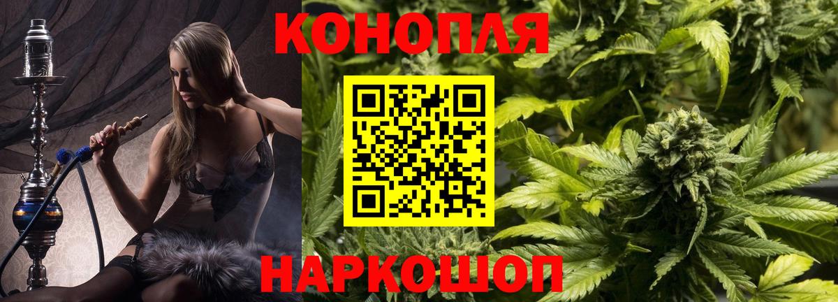 Конопля тримм  Конопля семена  Вход с VPN  Асбест 